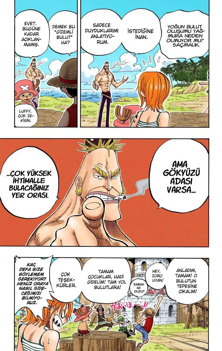 One Piece [Renkli] - Sayfa 6