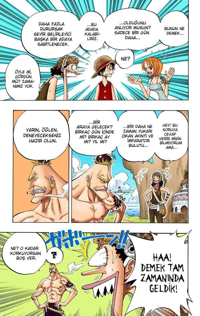 One Piece [Renkli] - Sayfa 12