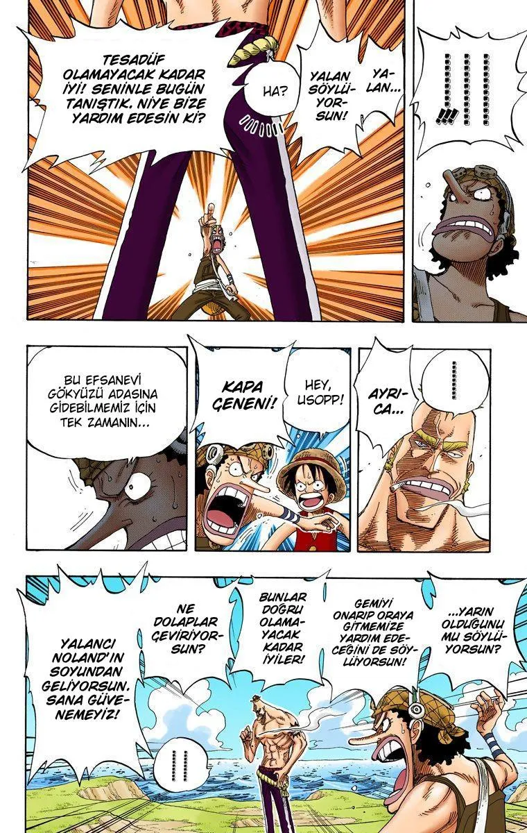 One Piece [Renkli] - Sayfa 13