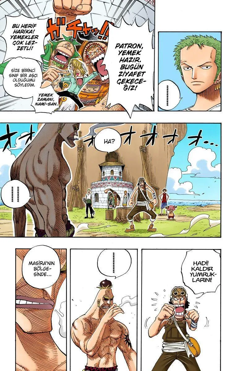 One Piece [Renkli] - Sayfa 14