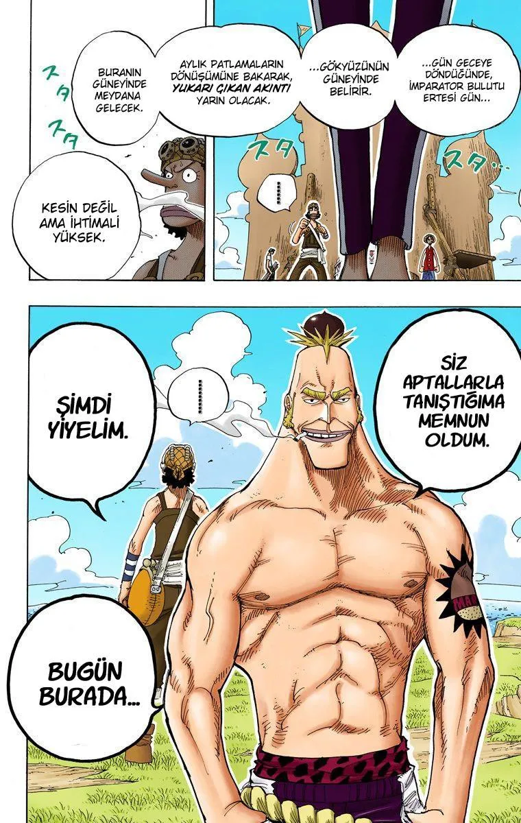 One Piece [Renkli] - Sayfa 15
