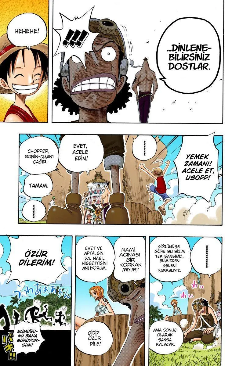 One Piece [Renkli] - Sayfa 16