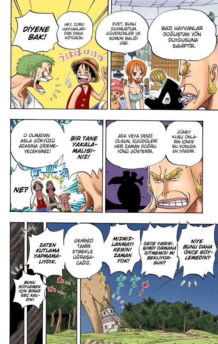 One Piece [Renkli] - Sayfa 9