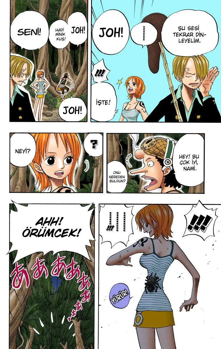 One Piece [Renkli] - Sayfa 13