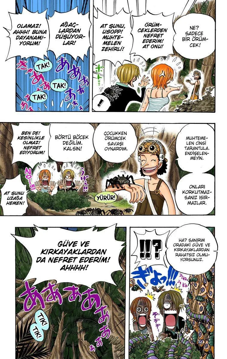 One Piece [Renkli] - Sayfa 14