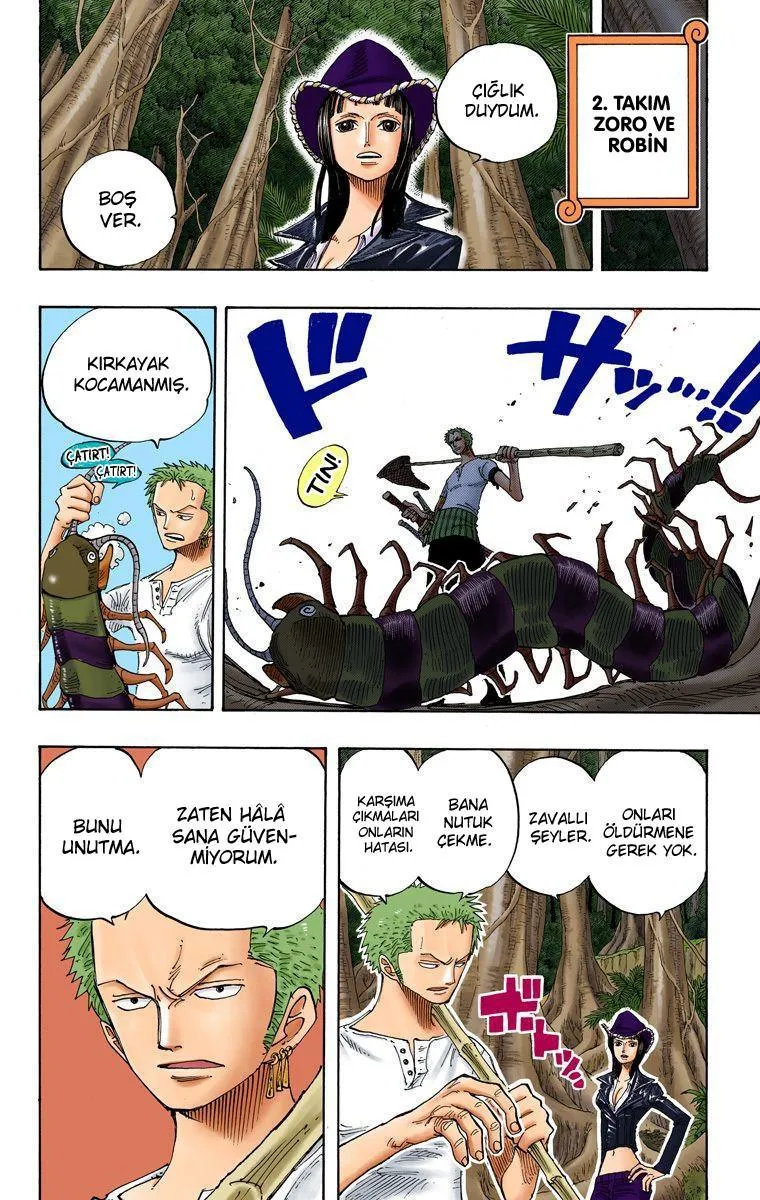 One Piece [Renkli] - Sayfa 15