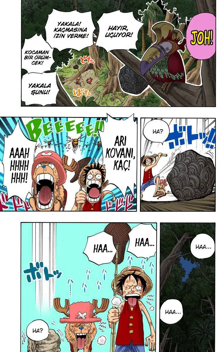 One Piece [Renkli] - Sayfa 18