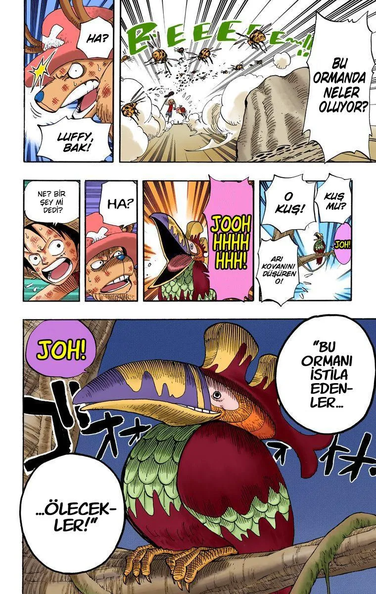 One Piece [Renkli] - Sayfa 19