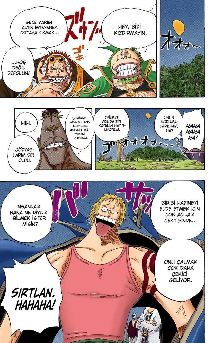 One Piece [Renkli] - Sayfa 20