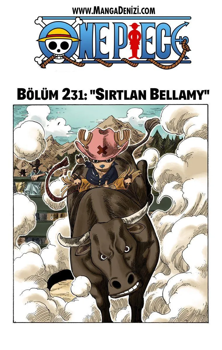 One Piece [Renkli] - Sayfa 2