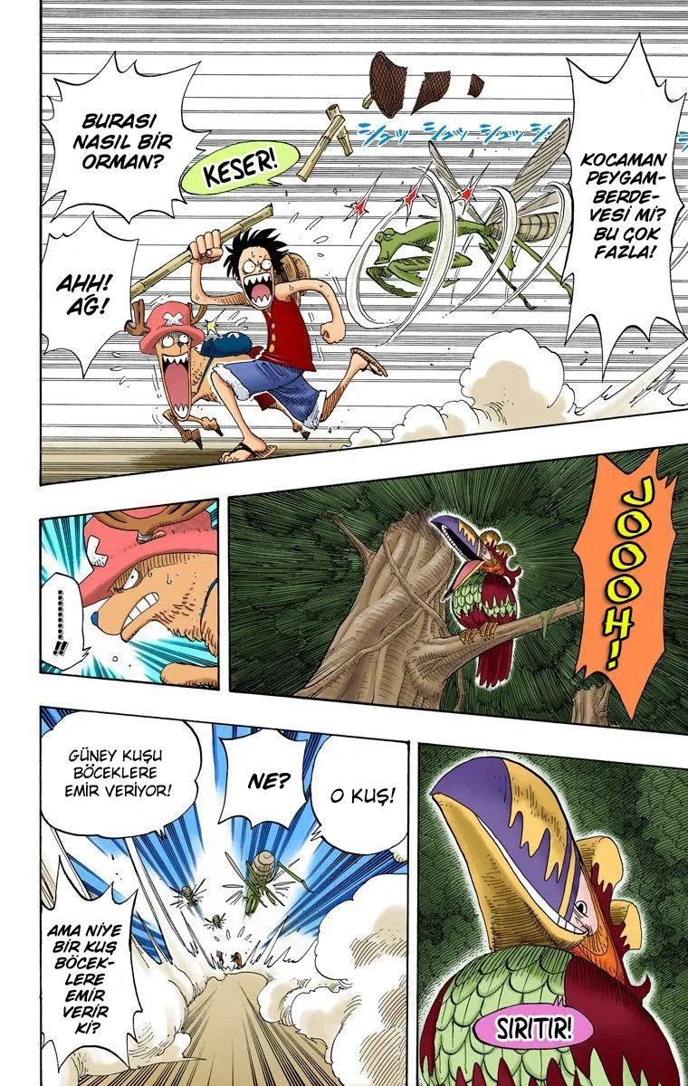 One Piece [Renkli] - Sayfa 5