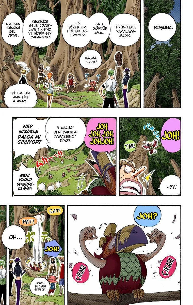 One Piece [Renkli] - Sayfa 16