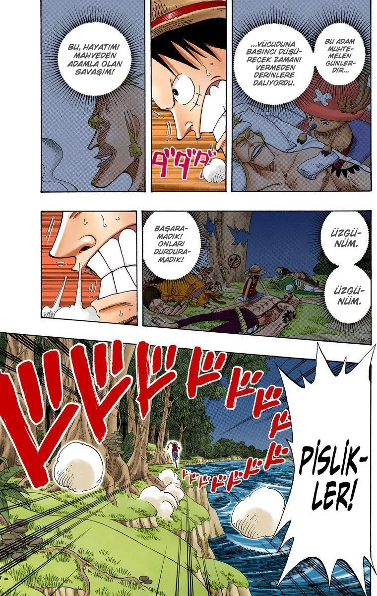One Piece [Renkli] - Sayfa 6