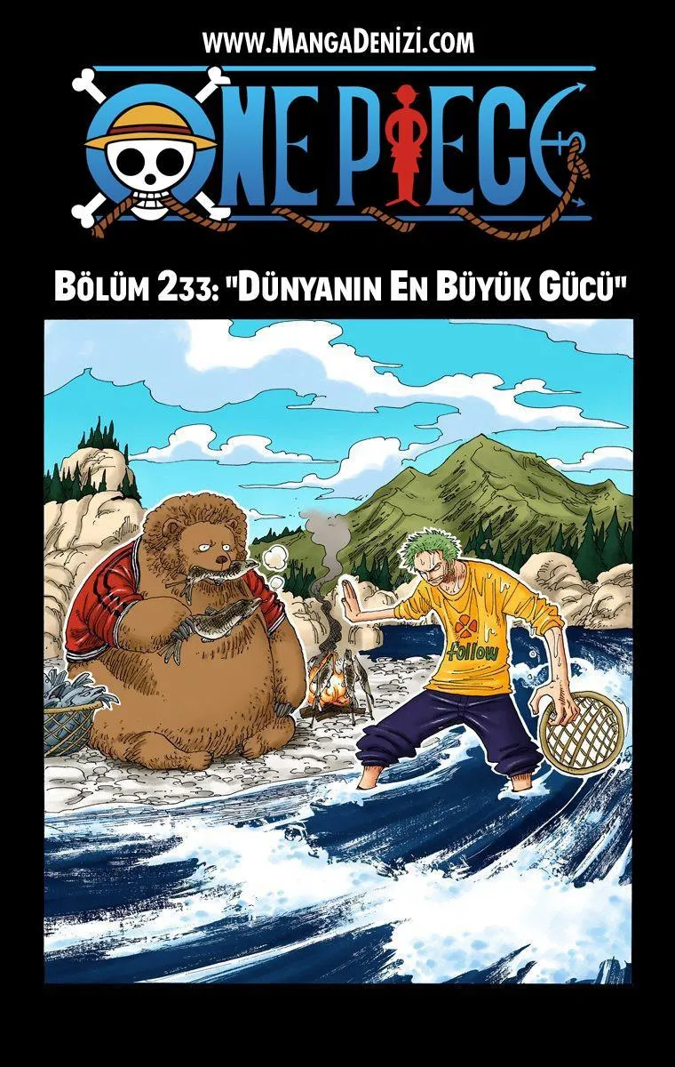 One Piece [Renkli] - Sayfa 2