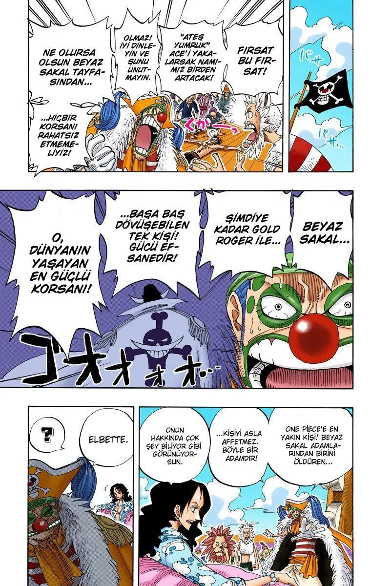One Piece [Renkli] - Sayfa 14