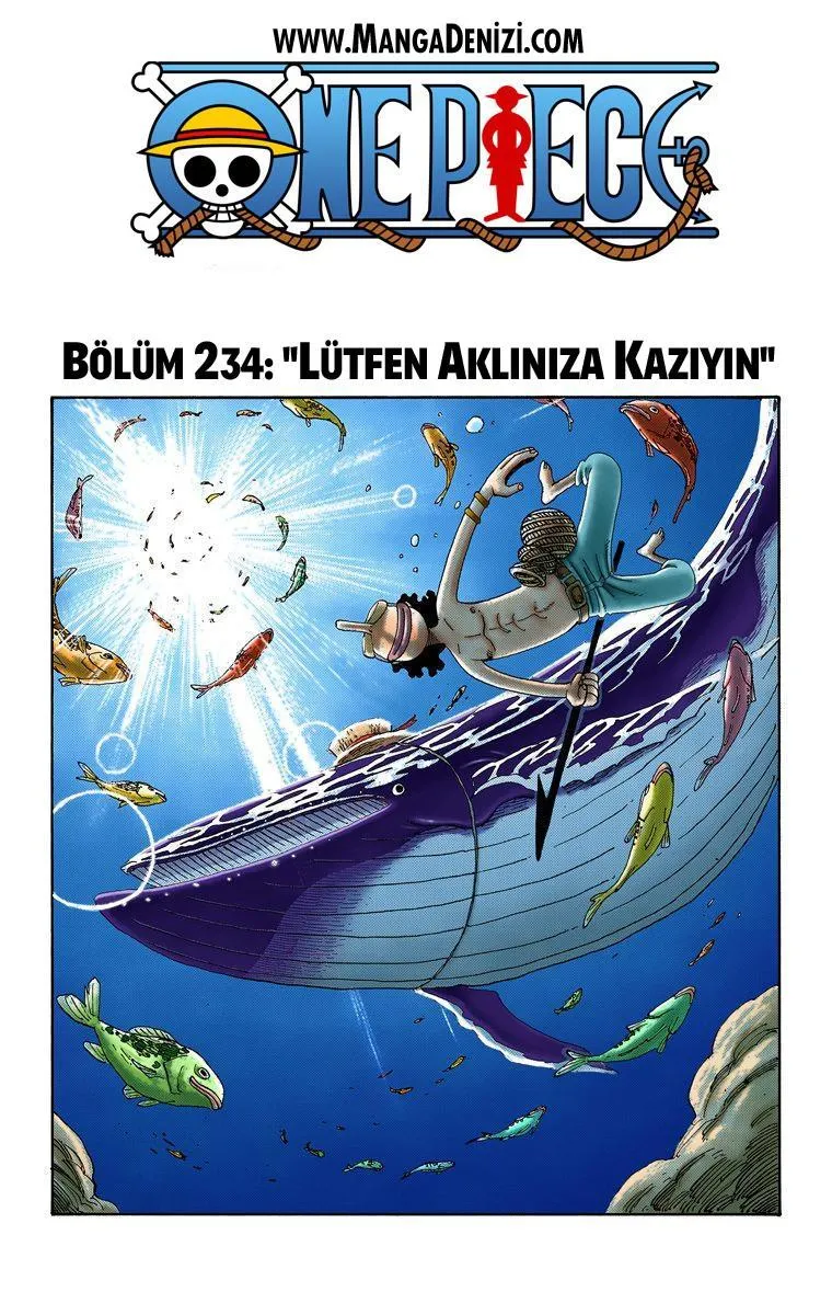 One Piece [Renkli] - Sayfa 2