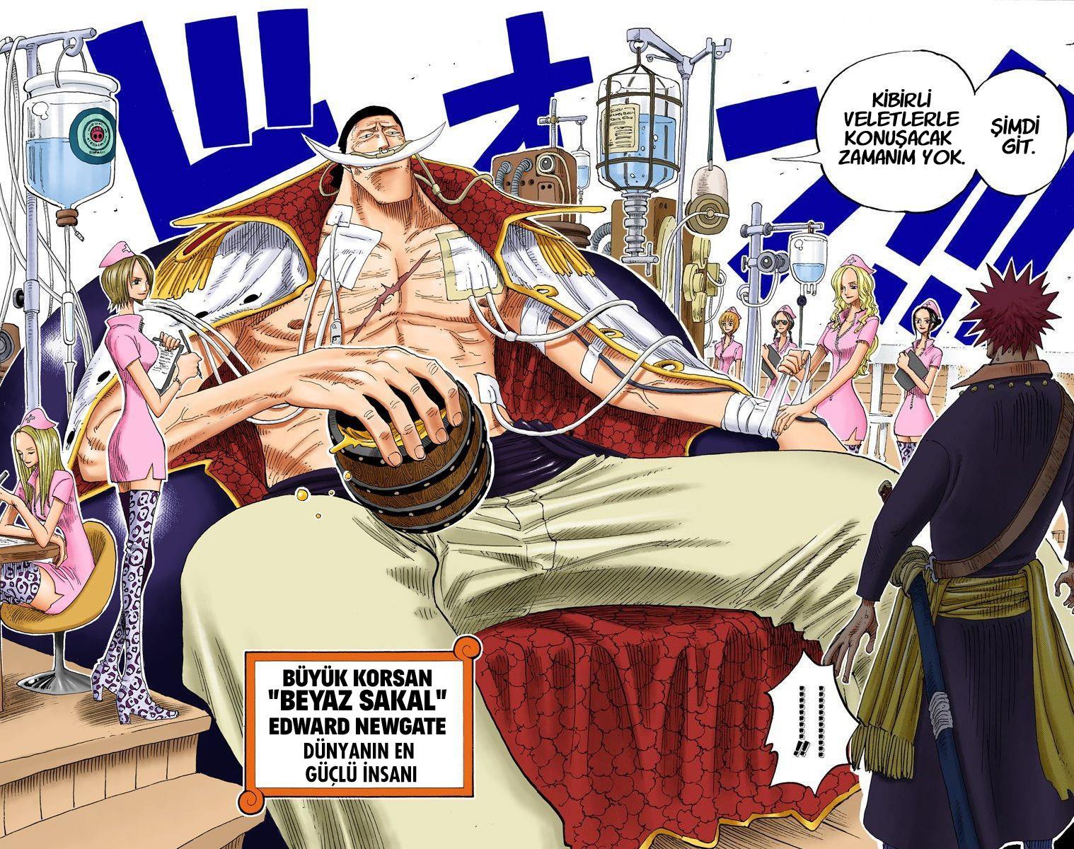 One Piece [Renkli] mangasının 0234 bölümünün 13. sayfasını okuyorsunuz.