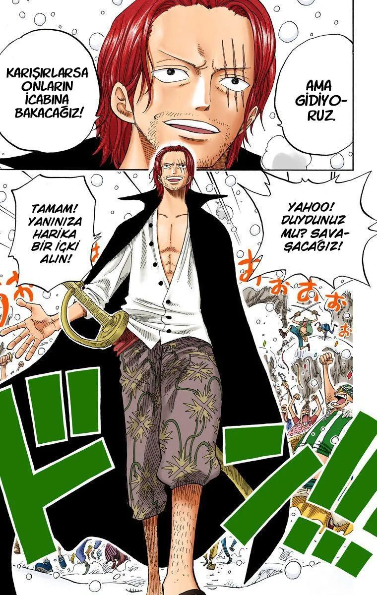 One Piece [Renkli] - Sayfa 15