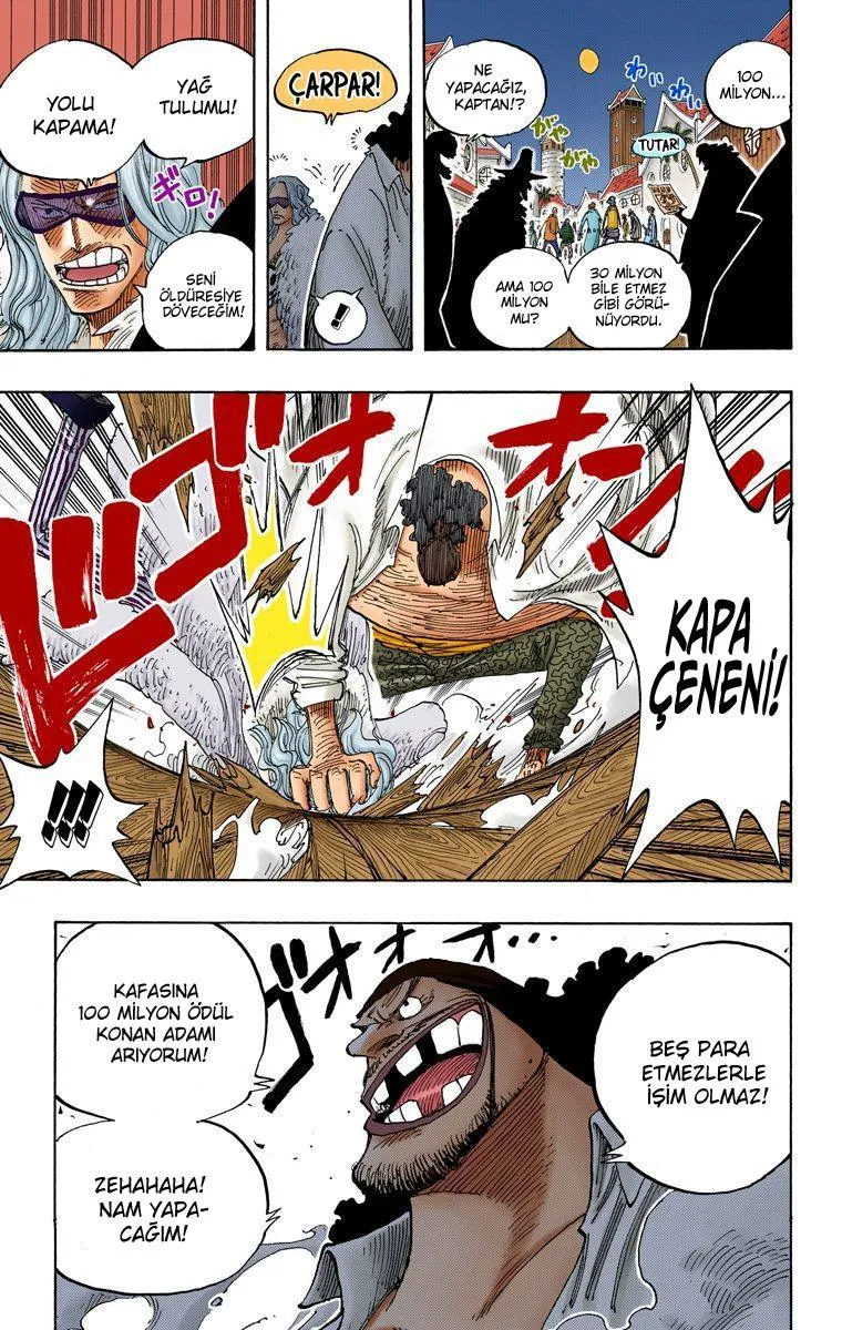 One Piece [Renkli] - Sayfa 17