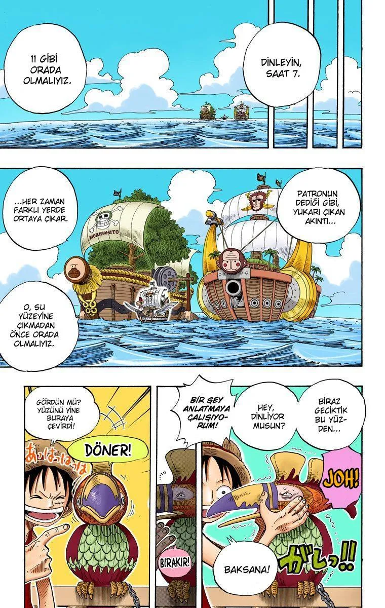 One Piece [Renkli] - Sayfa 12