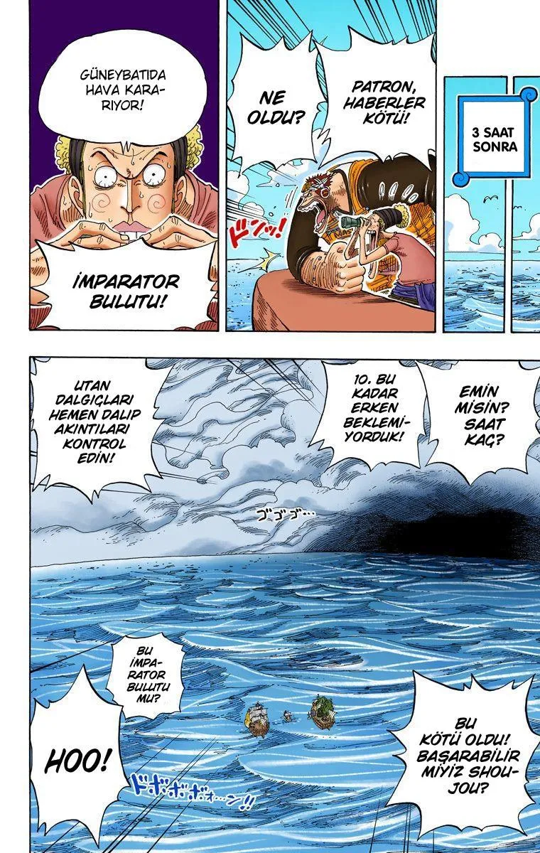 One Piece [Renkli] - Sayfa 15