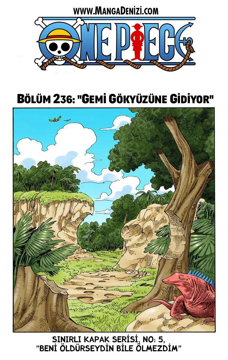 One Piece [Renkli] - Sayfa 2