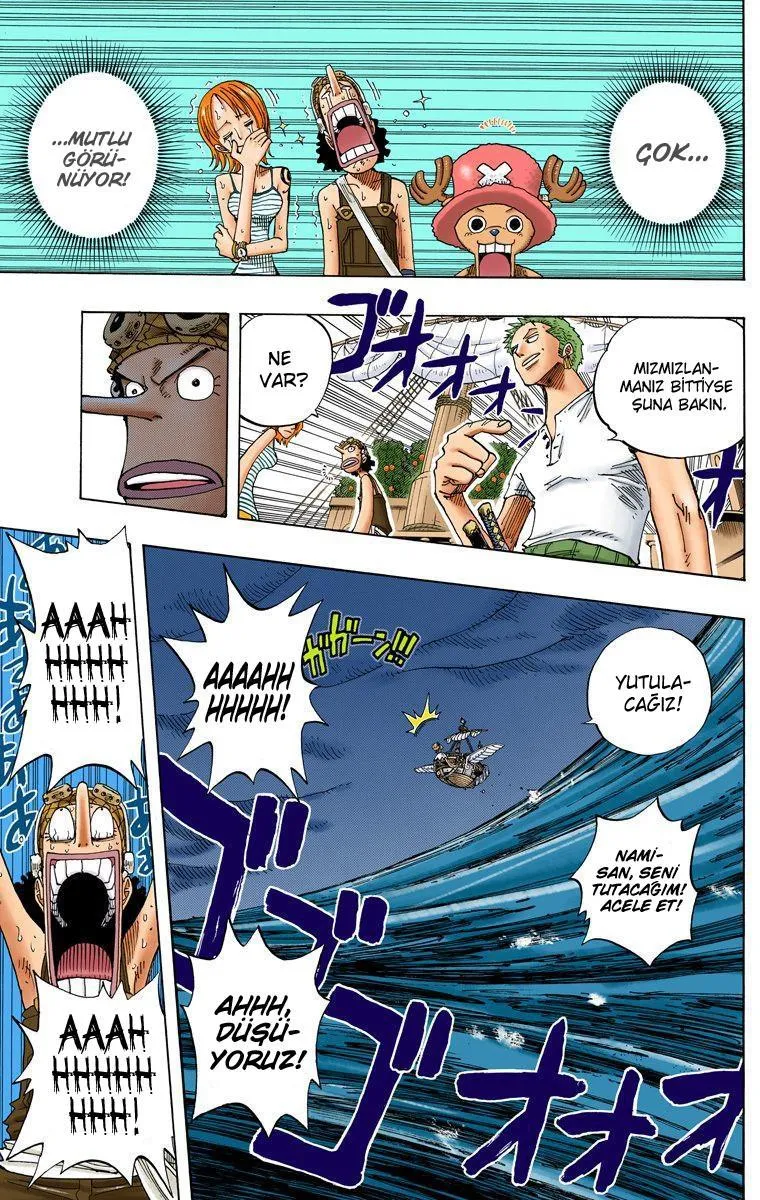 One Piece [Renkli] - Sayfa 6