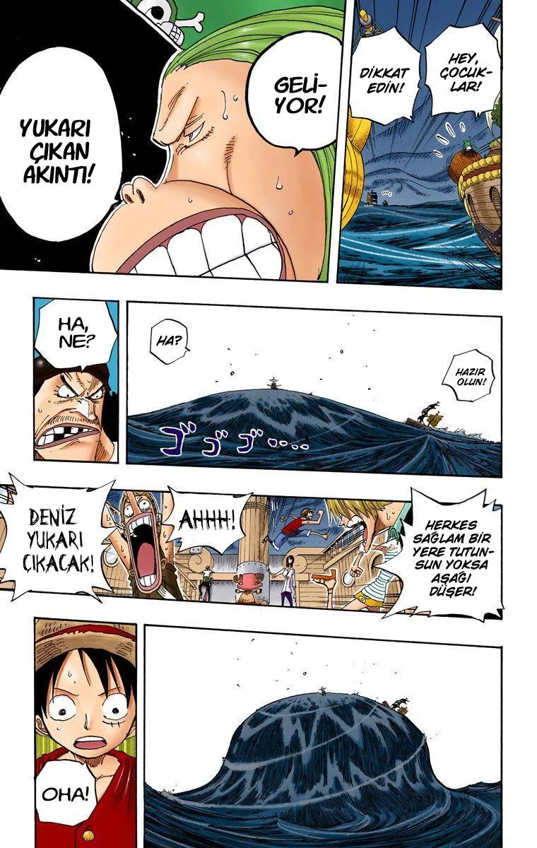 One Piece [Renkli] - Sayfa 10
