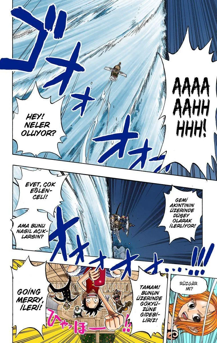 One Piece [Renkli] - Sayfa 14