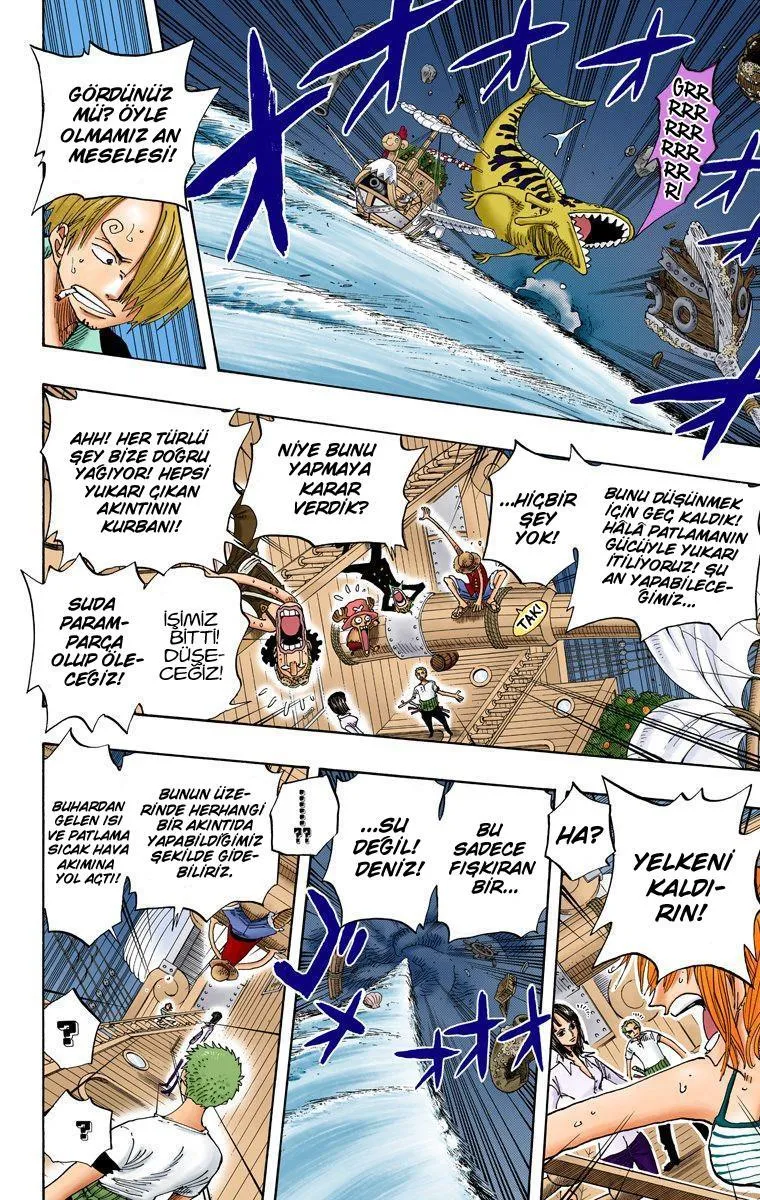 One Piece [Renkli] - Sayfa 16