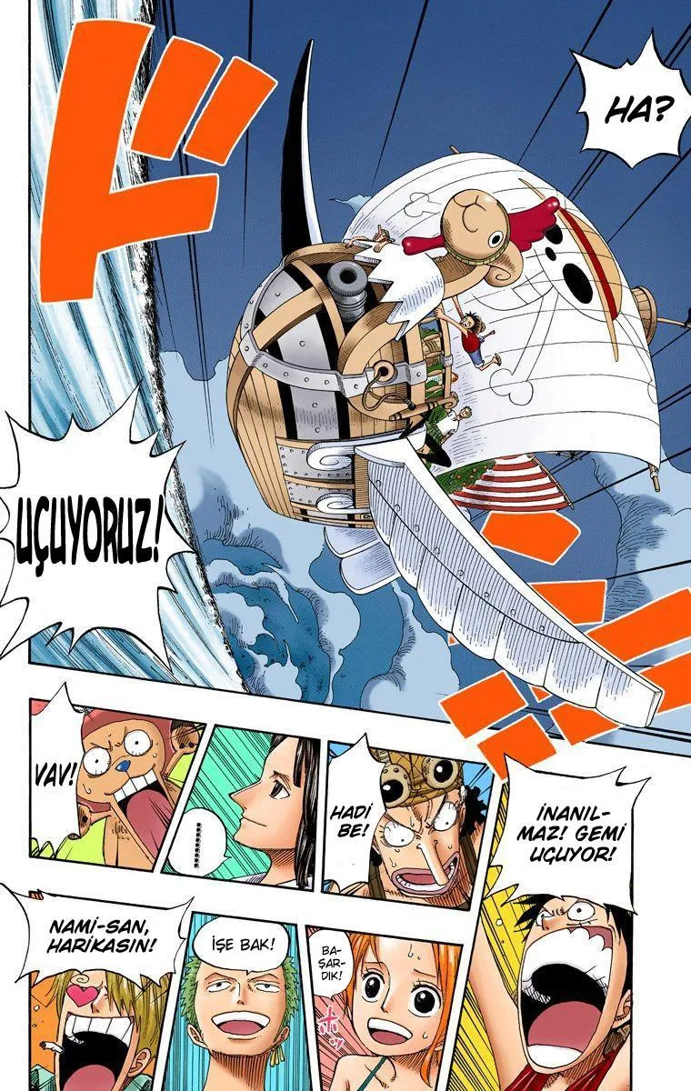 One Piece [Renkli] - Sayfa 18