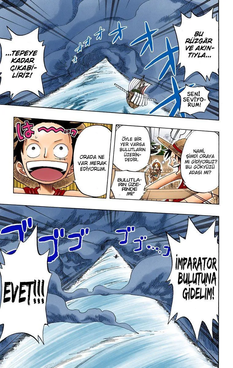 One Piece [Renkli] - Sayfa 19