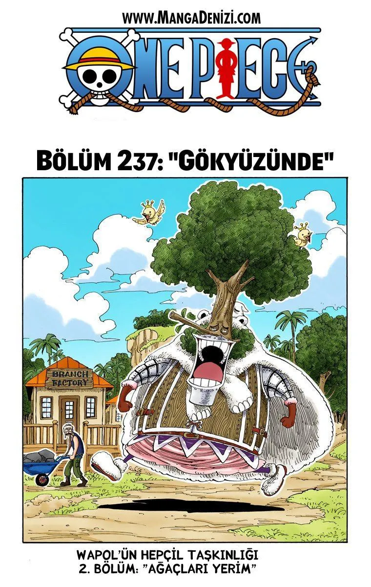 One Piece [Renkli] - Sayfa 2