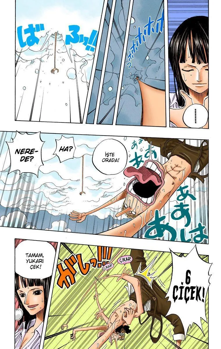 One Piece [Renkli] - Sayfa 11