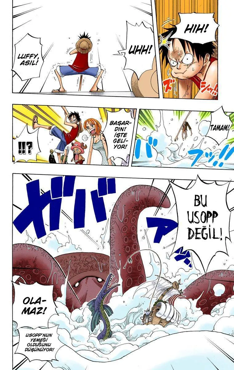 One Piece [Renkli] - Sayfa 12