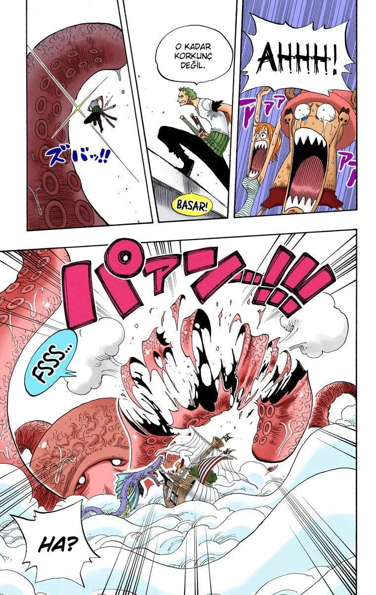 One Piece [Renkli] - Sayfa 13