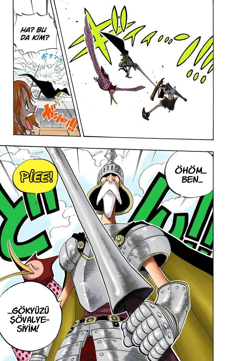 One Piece [Renkli] - Bölüm 0237 - Sayfa 19