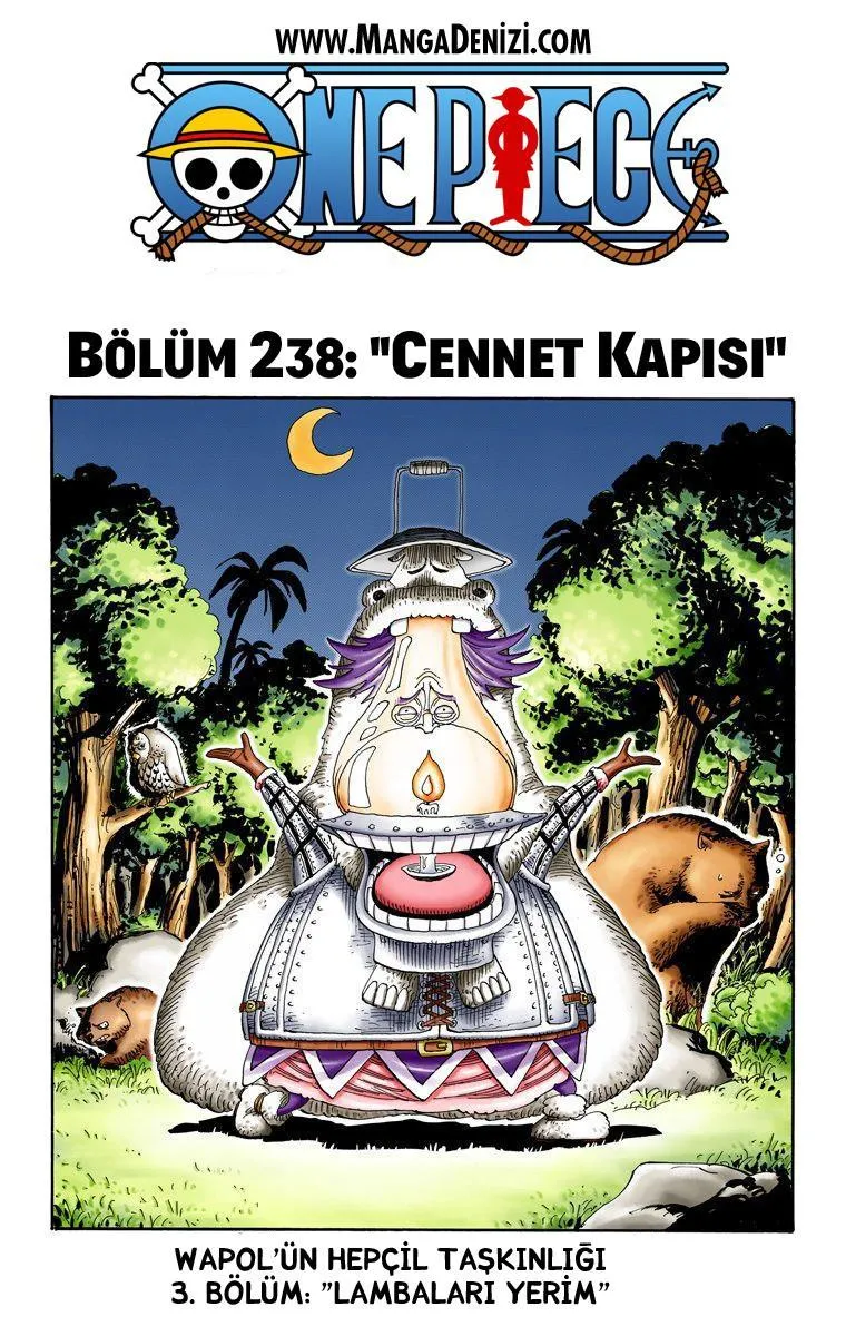 One Piece [Renkli] - Sayfa 2