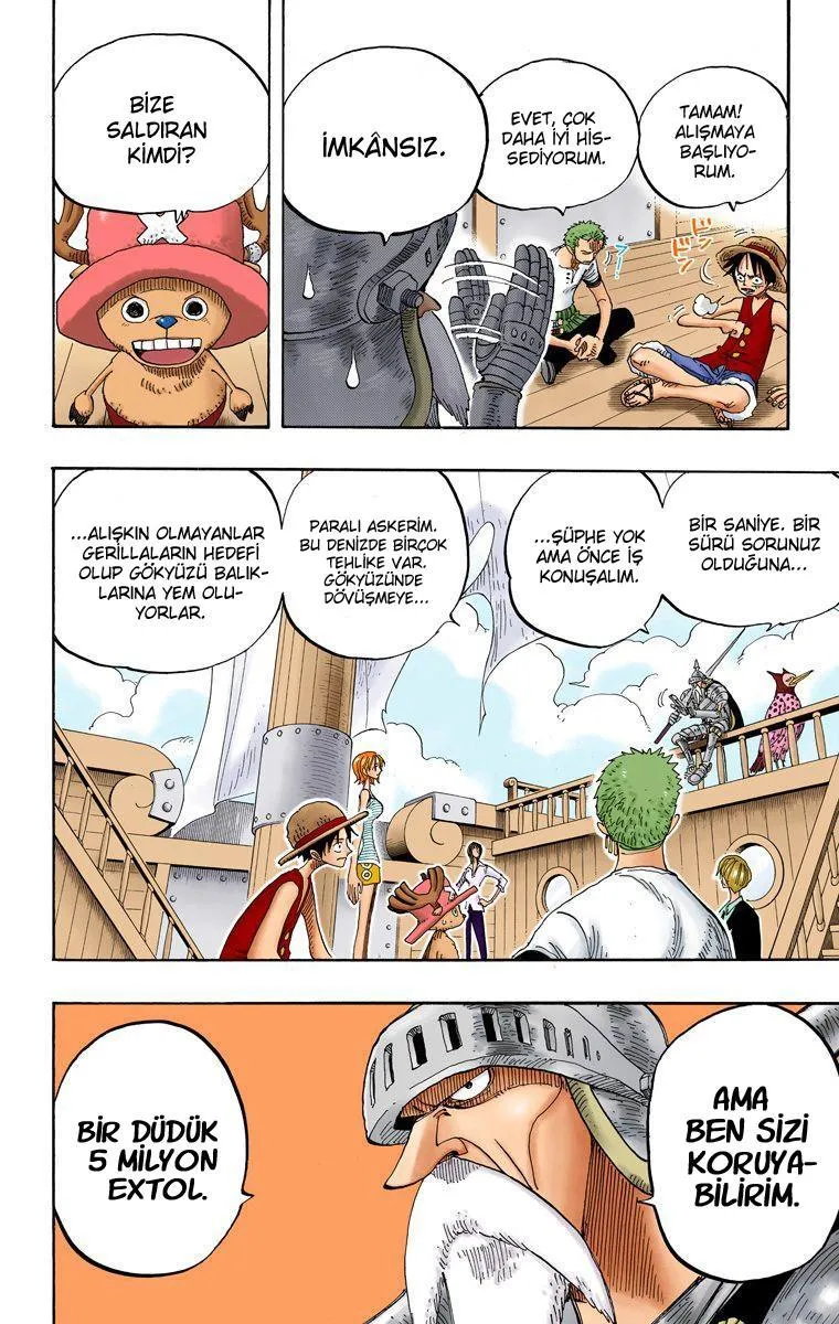 One Piece [Renkli] - Sayfa 5