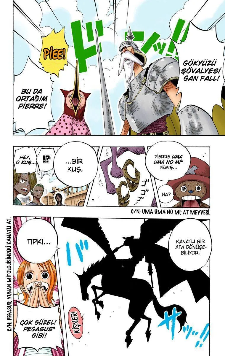 One Piece [Renkli] - Sayfa 9