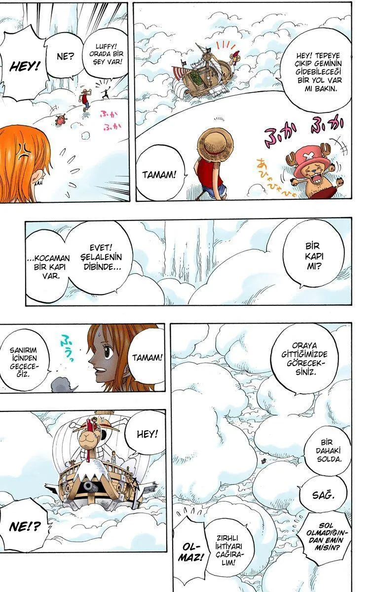 One Piece [Renkli] - Sayfa 14