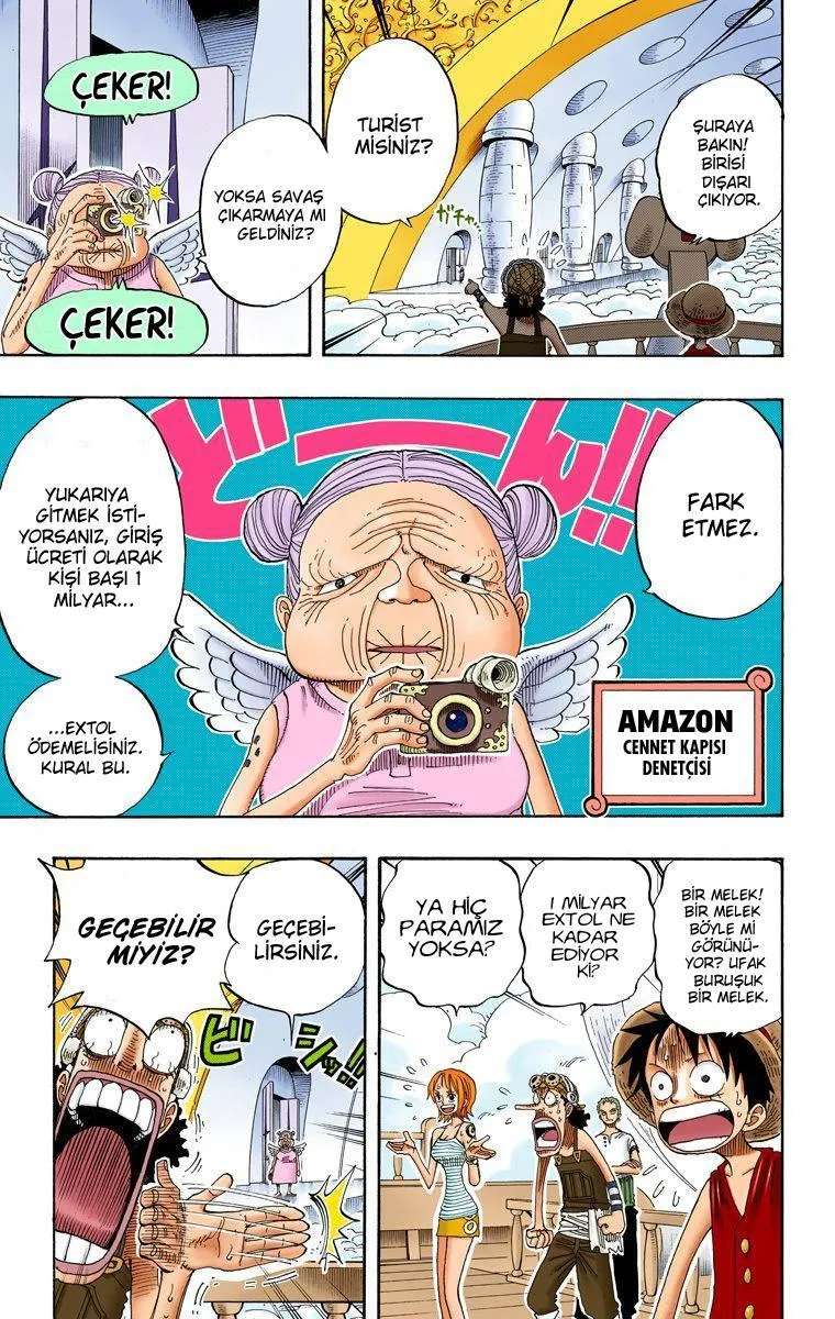 One Piece [Renkli] - Sayfa 16