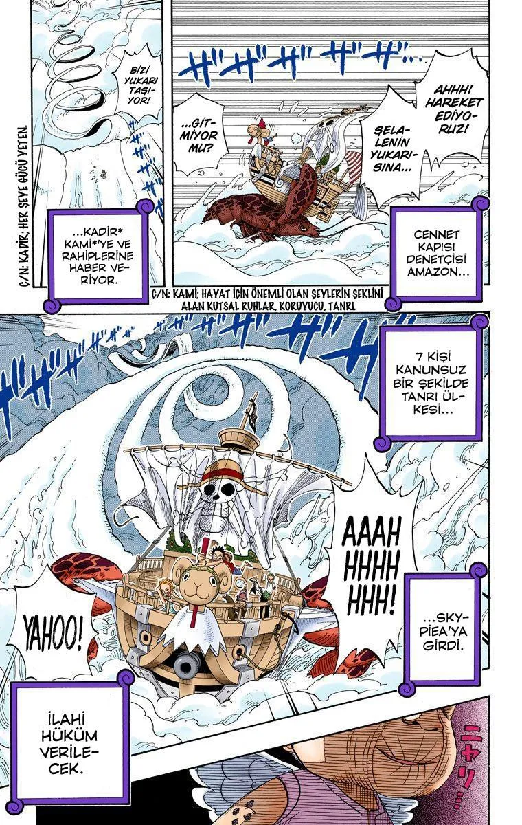 One Piece [Renkli] - Sayfa 18