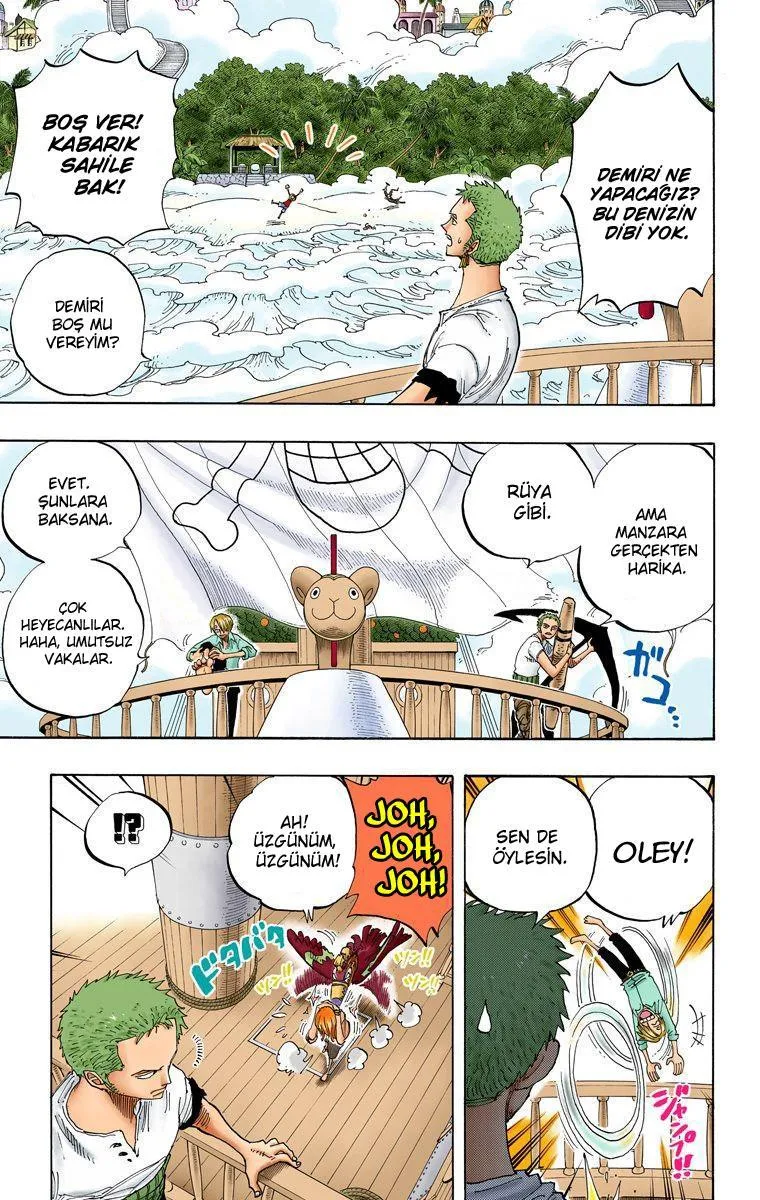 One Piece [Renkli] - Sayfa 7