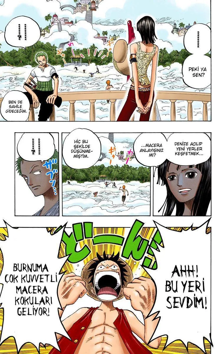 One Piece [Renkli] - Sayfa 9