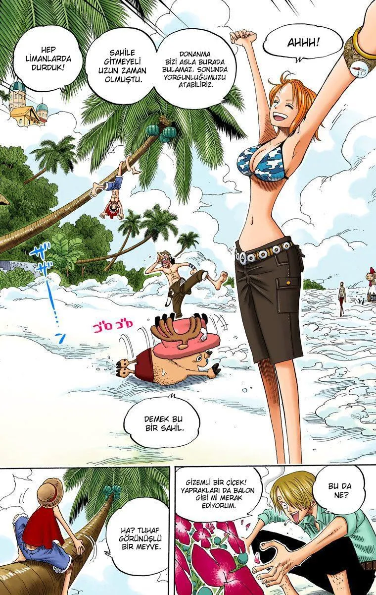 One Piece [Renkli] - Sayfa 10