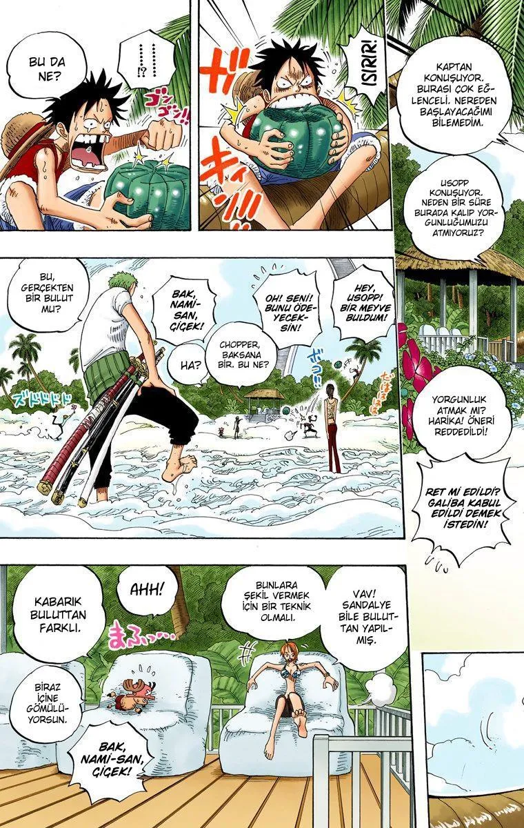 One Piece [Renkli] - Sayfa 11