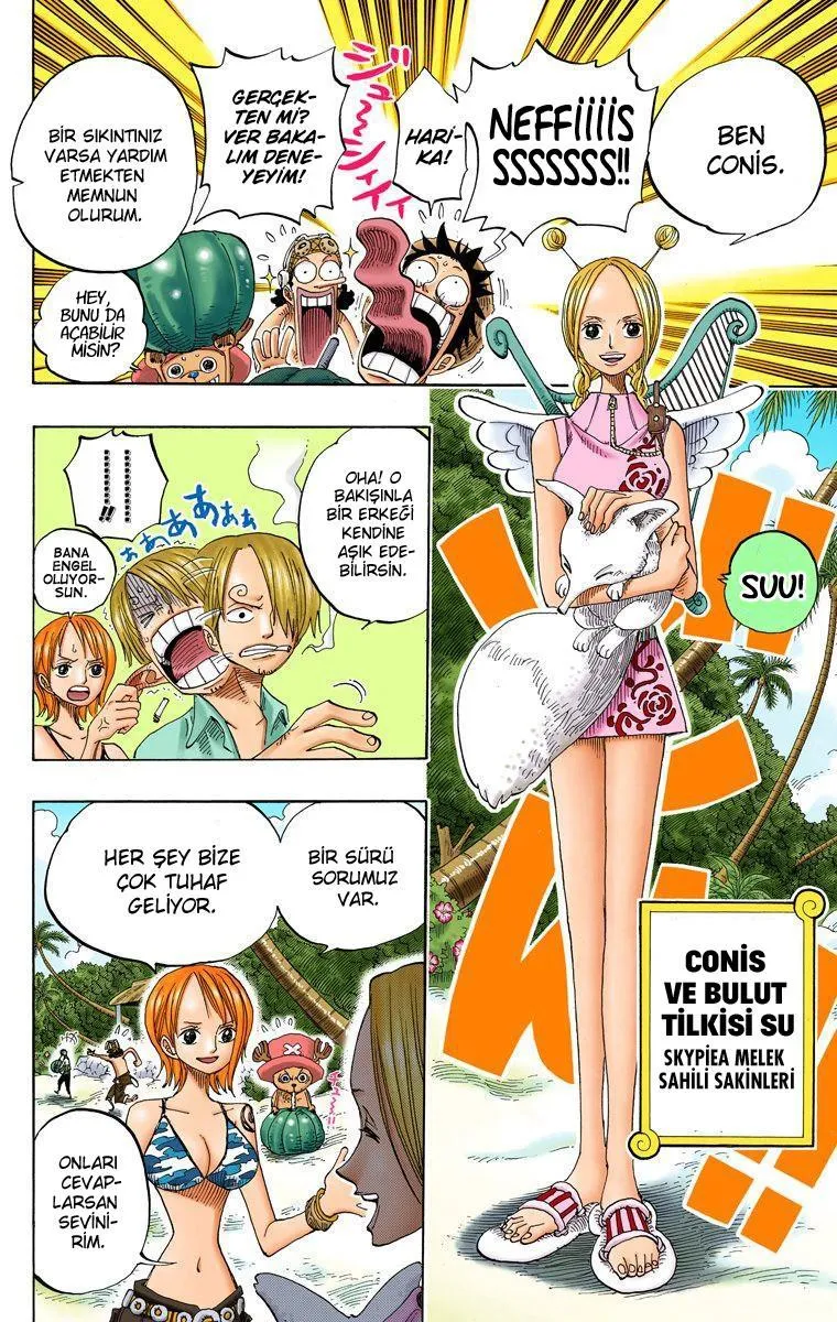 One Piece [Renkli] - Sayfa 14