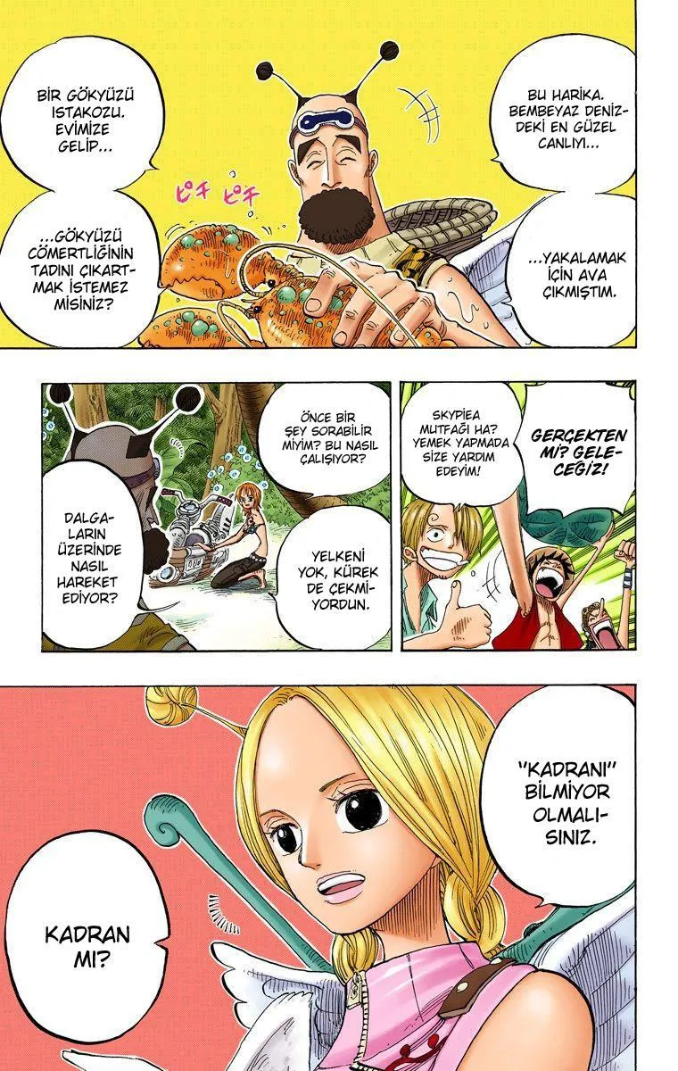 One Piece [Renkli] - Sayfa 17