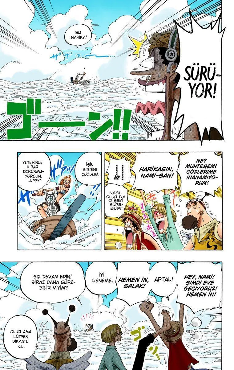 One Piece [Renkli] - Sayfa 6